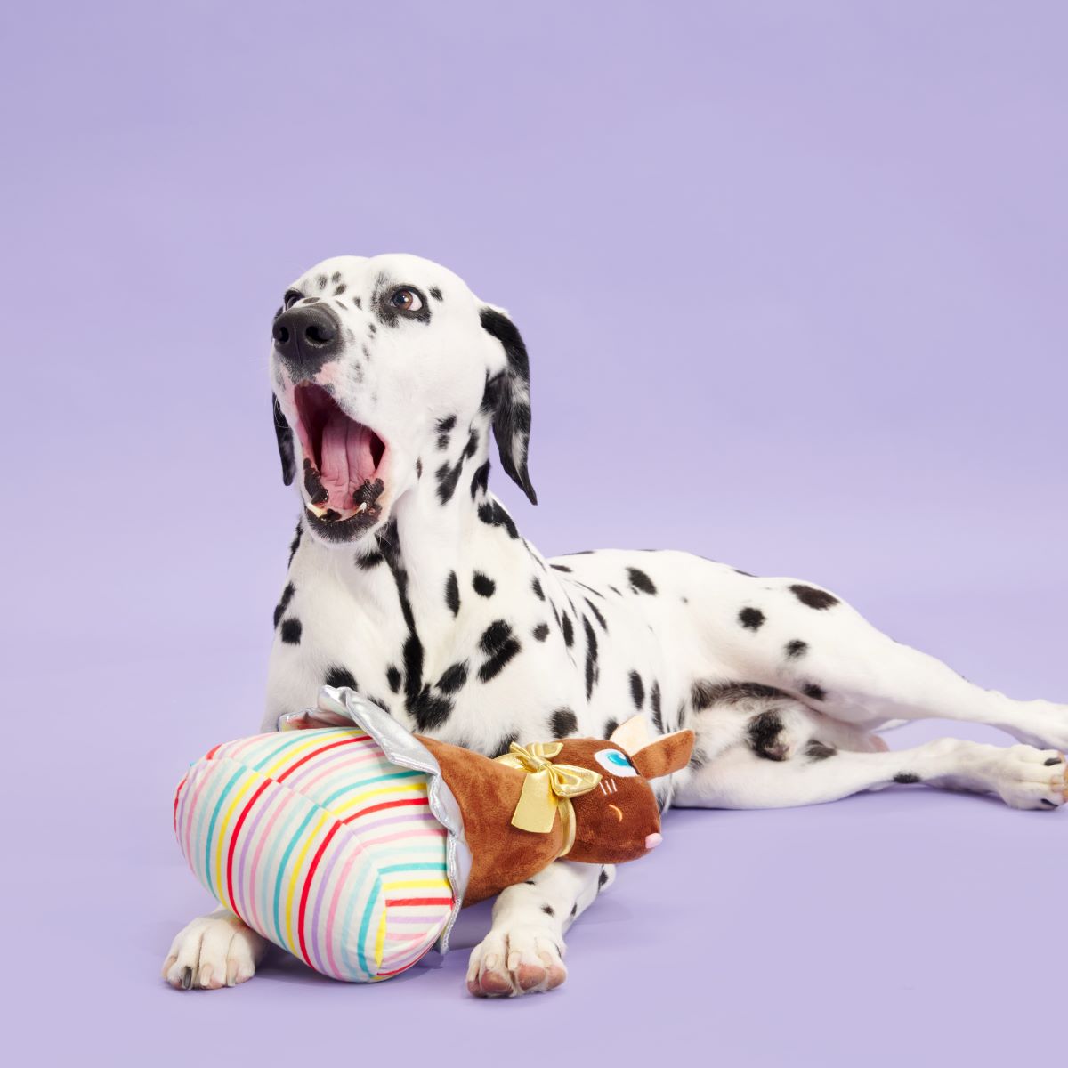 Lil Bunny Chew Chew Plush Extra-Large Dog Toy