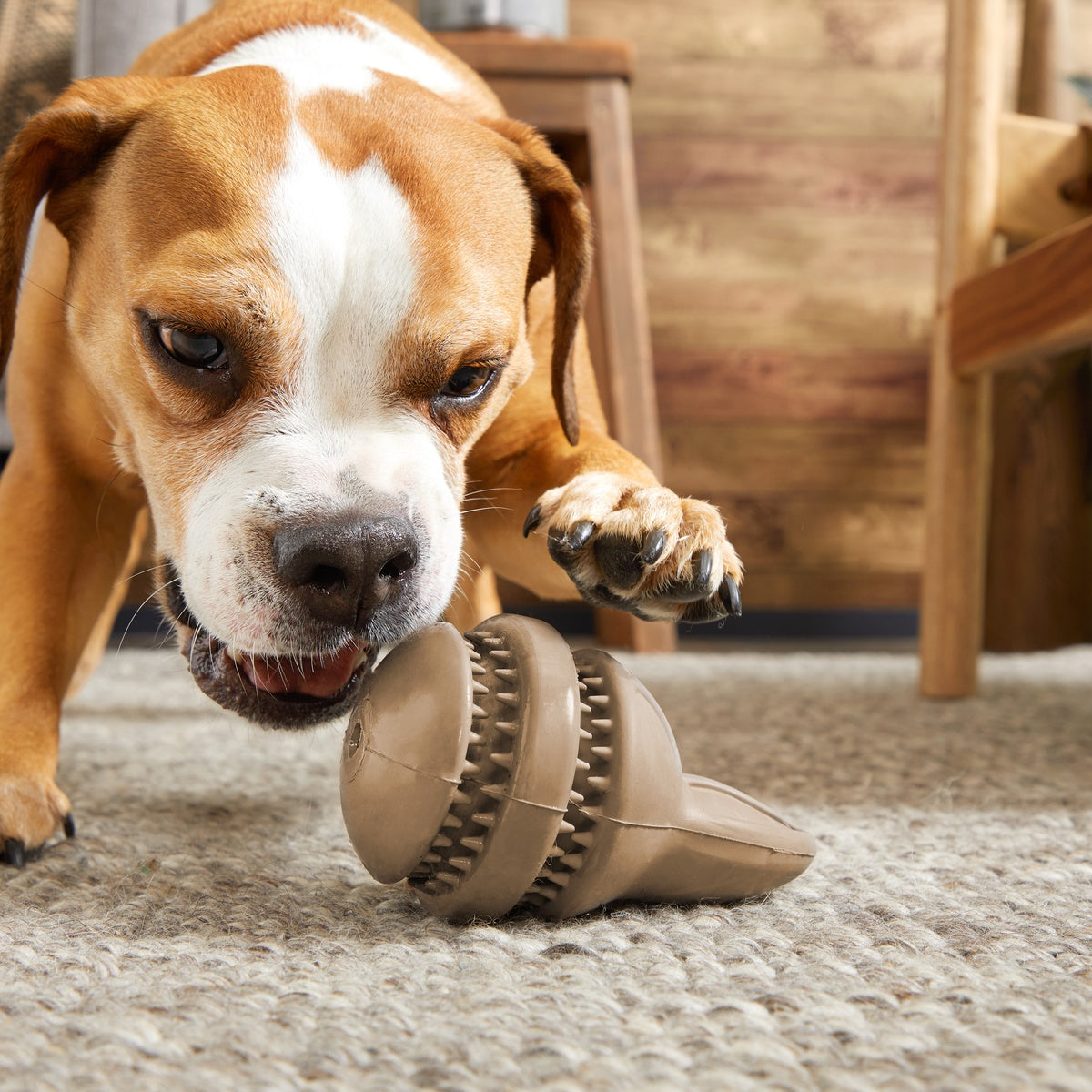 Hare Raiser Super Chewer Durable 2-in-1 + Enrichment Dog Toy