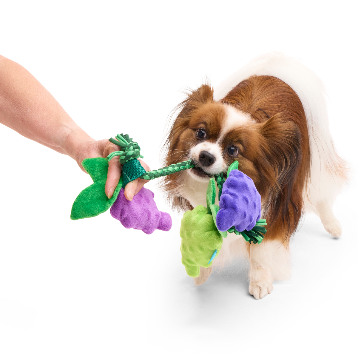 Chew The Grapevine Plush Tug Dog Toy