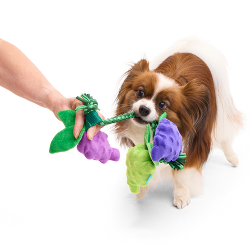 Chew The Grapevine Plush Tug Dog Toy