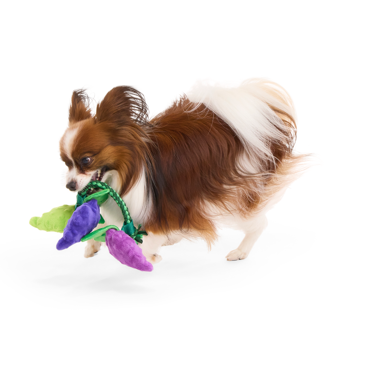 Chew The Grapevine Plush Tug Dog Toy