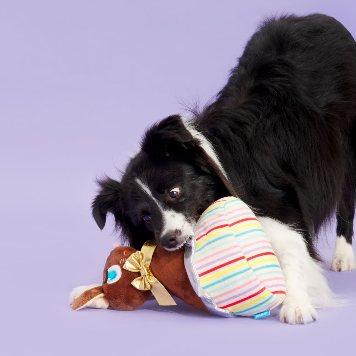 Lil Bunny Chew Chew Plush Extra-Large Dog Toy